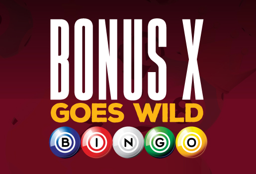 BONUS X GOES WILD BINGO